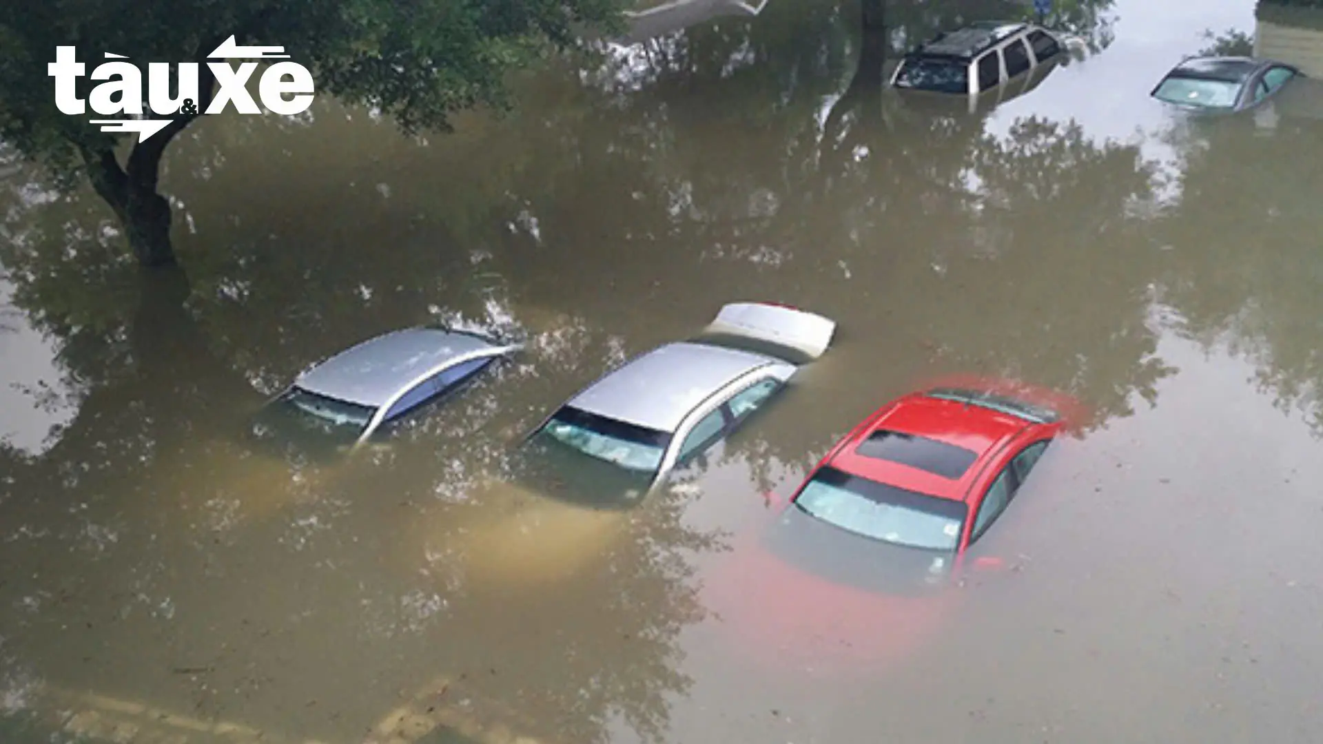 Những lưu ý khi xe ô tô bị ngập nước | Bản tin Tàu và Xe | 10/10/2025